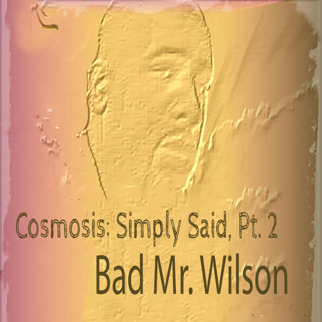 Cosmosis: Simply Said Part 2